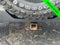 2021 Jeep Wrangler Willys 4x4