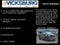 2021 Chevrolet Silverado 1500 4WD Crew Cab Short Bed Custom Trail Boss