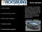 2021 Chevrolet Silverado 1500 4WD Crew Cab Short Bed Custom Trail Boss