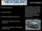 2021 Chevrolet Silverado 1500 4WD Crew Cab Short Bed Custom Trail Boss