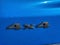 2027 Jeep Compass COMPASS LATITUDE ALTITUDE 4X4